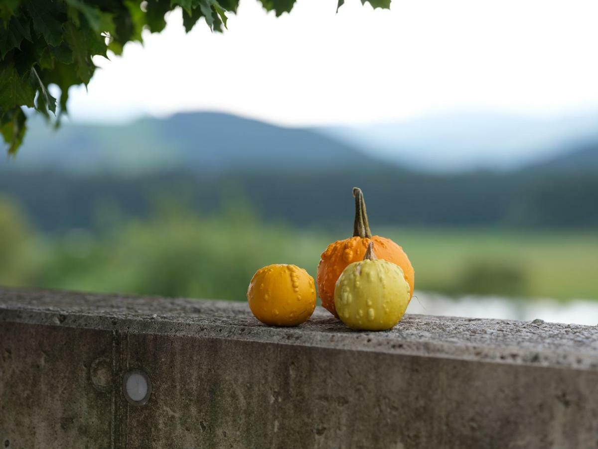 Almenland Apartment Passail エクステリア 写真